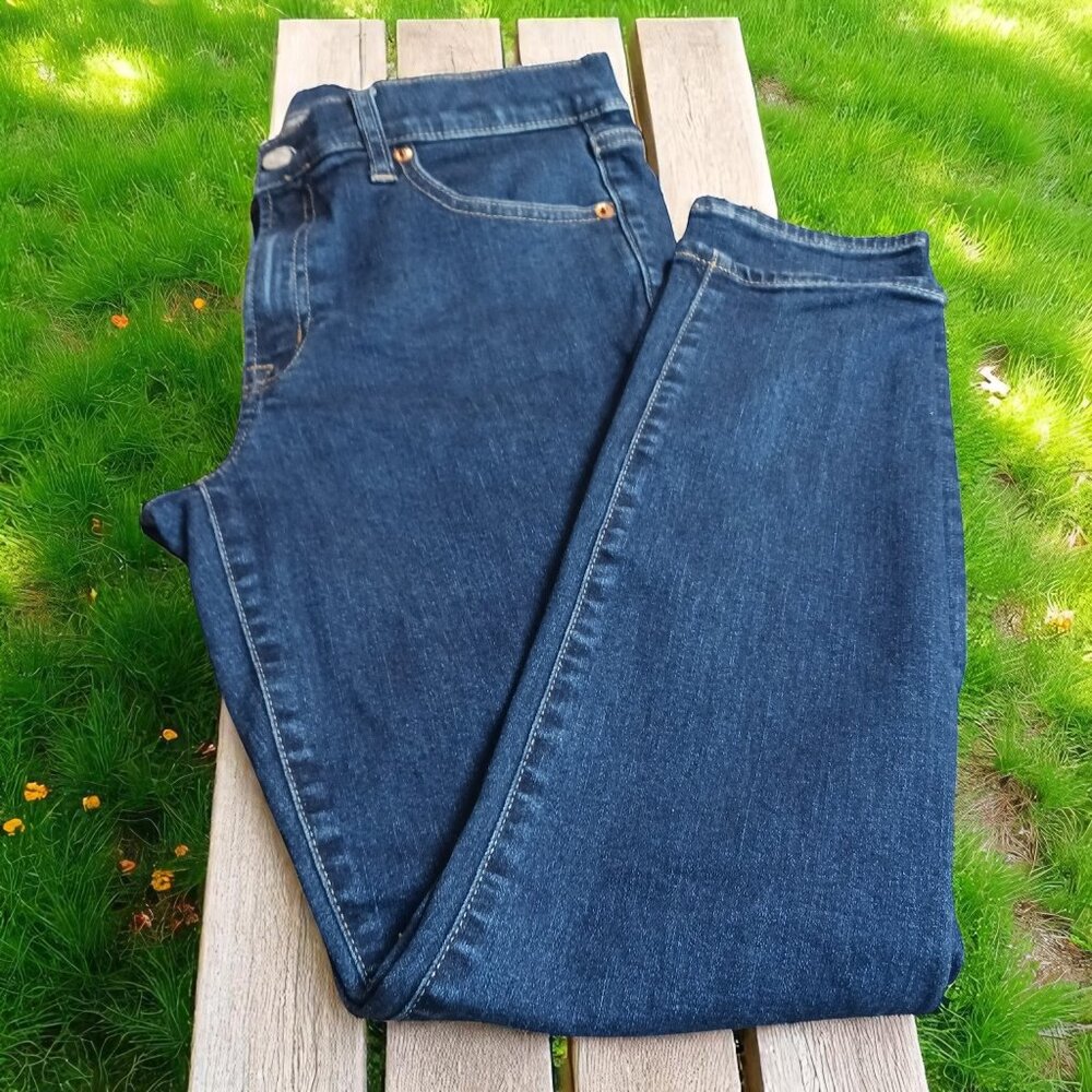 Women’s GAP True Skinny Midrise Jeans 30R | NWOT | Dark Wash Stretch Denim